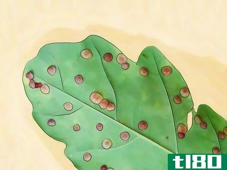 Image titled Get Rid of Aphids Step 3