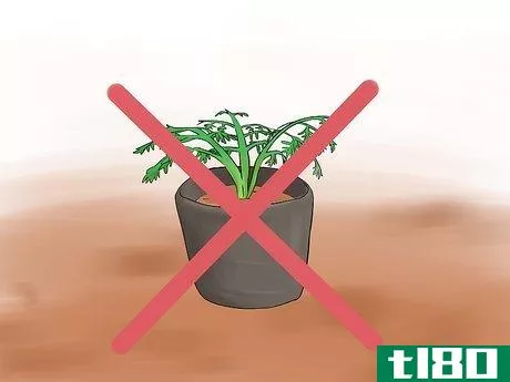 Image titled Grow Perennial Vegetables Step 13
