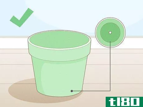 Image titled Get Rid of Gnats in Houseplants Step 10