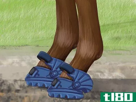 Image titled Know if Your Horse Needs Shoes Step 11