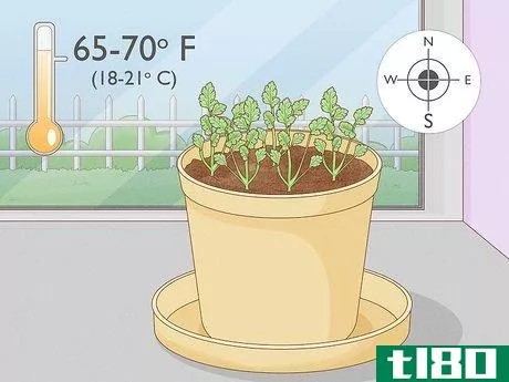 Image titled Grow an Herb Garden Indoors Year Round Step 15