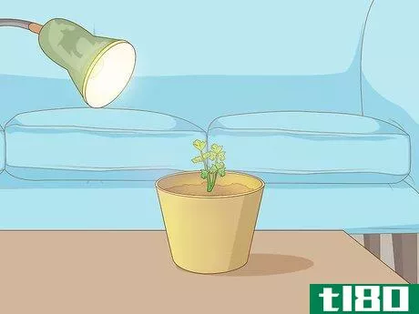 Image titled Grow Plants Faster Step 14