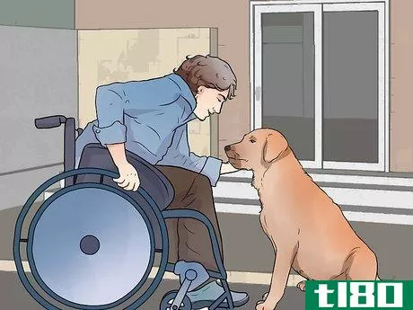 Image titled Get a Therapy Dog Step 5