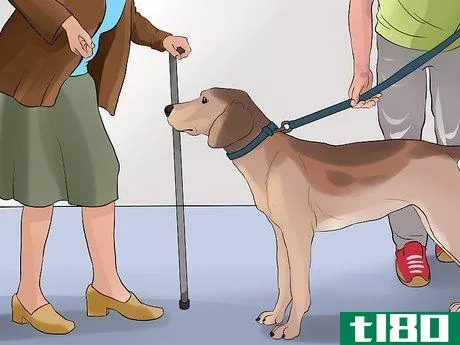 Image titled Keep Elderly Family Safe Around Active Dogs Step 7