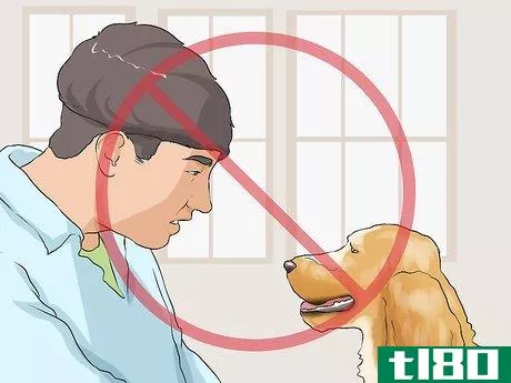 Image titled Handle Dog Begging for Food Step 3