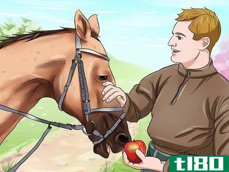 Image titled Get a Head Shy Horse To Trust You Step 1