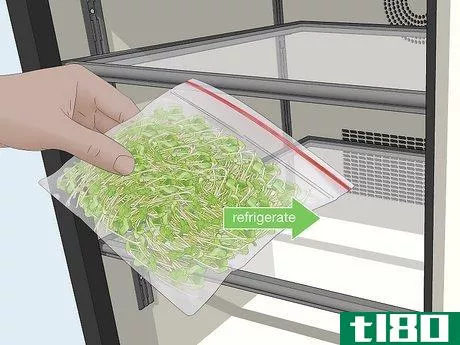 Image titled Grow Alfalfa Sprouts Step 23