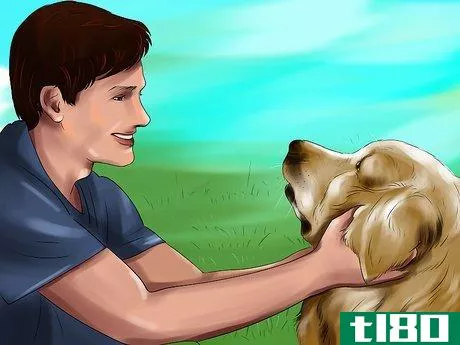 Image titled Housebreak a Dog with Positive Reinforcement Step 5