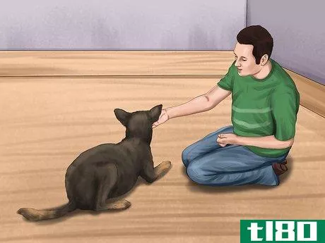 Image titled Help a Dog Suffering from Trauma Step 15