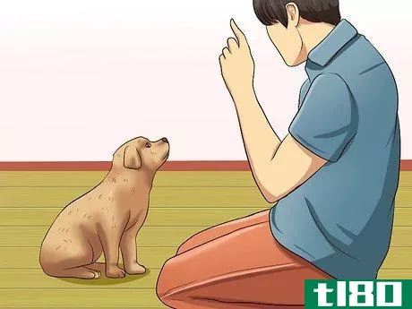 Image titled Get Your Puppy to Stop Biting Step 3