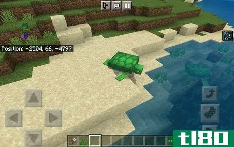 Image titled Turtles by the Beach (Minecraft)