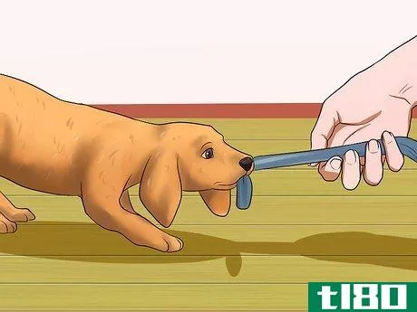 Image titled Get Your Puppy to Stop Biting Step 13