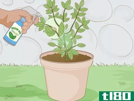 Image titled Get Rid of Plant Mites Step 1
