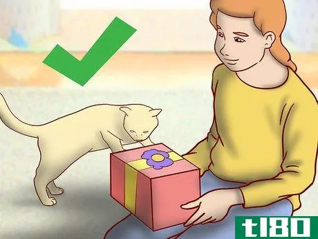 Image titled Include Your Cat in Holiday Celebrations Step 12