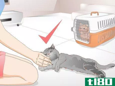 Image titled Get Rid of Cat Spray Odor Step 12