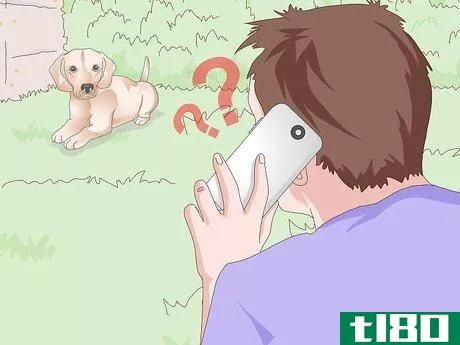 Image titled Get a Urine Sample from a Female Dog Step 11