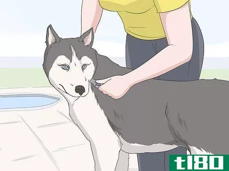 Image titled Keep Dogs Off of a Pool Cover Step 7