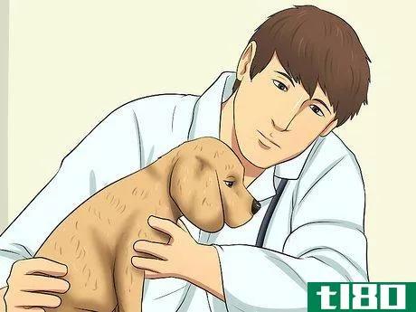 Image titled Give a Puppy As a Christmas Gift Step 10