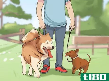 Image titled Introduce a Puppy to a Senior Dog Step 1
