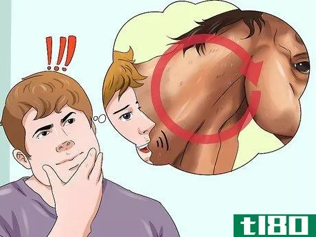 Image titled Get a Head Shy Horse To Trust You Step 17
