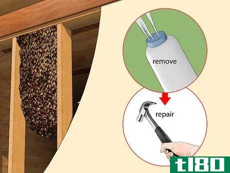 Image titled Get Rid of a Beehive Step 5