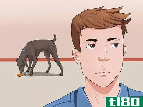 Image titled Get Your Dog to Swallow a Pill Step 10