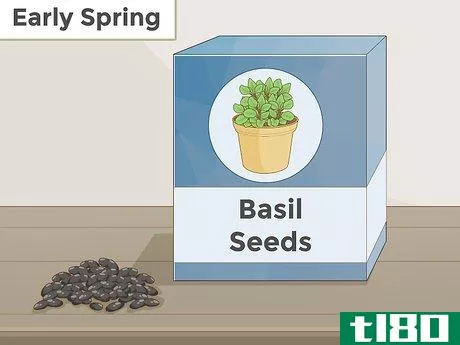 Image titled Grow Herbs Step 4