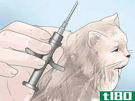 Image titled Inject a Microchip Into a Pet Step 10