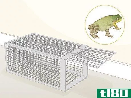 Image titled Get Rid of Frogs Step 16