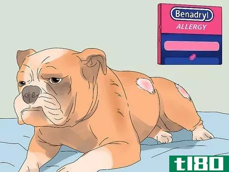Image titled Give a Dog Benadryl Step 7
