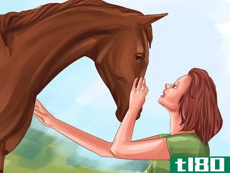 Image titled Keep a Horse Calm While Riding Step 2