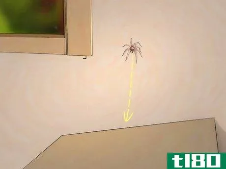 Image titled Get Spiders Out of Your House Without Killing Them Step 3