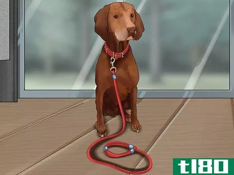 如何即兴编一条狗线(improvise a dog lead)