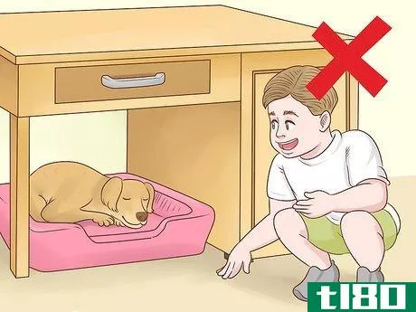 Image titled Help a Dog Overcome Its Fear of Children Step 7