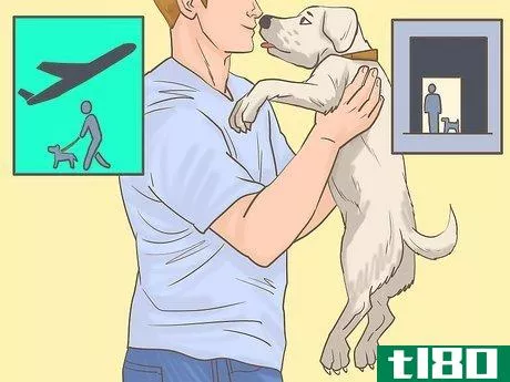 Image titled Get an Emotional Support Animal Letter Step 2