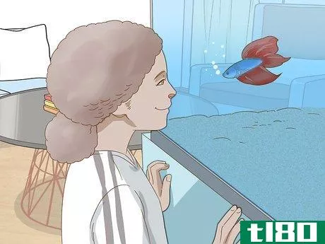 Image titled Grow a Bond With Your Betta Fish Step 11