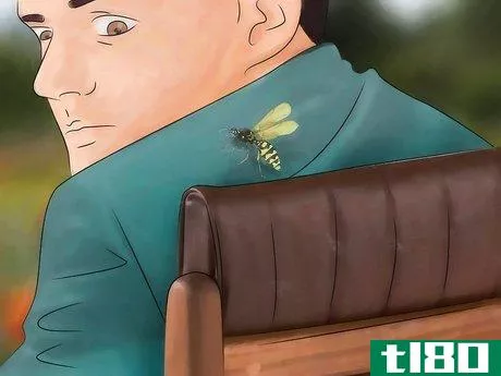 Image titled Identify Insect Bites Step 8