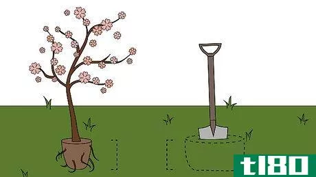 Image titled Grow Crabapple Trees Step 12