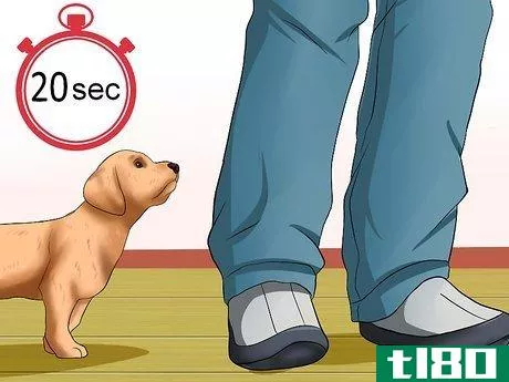 Image titled Get Your Puppy to Stop Biting Step 8