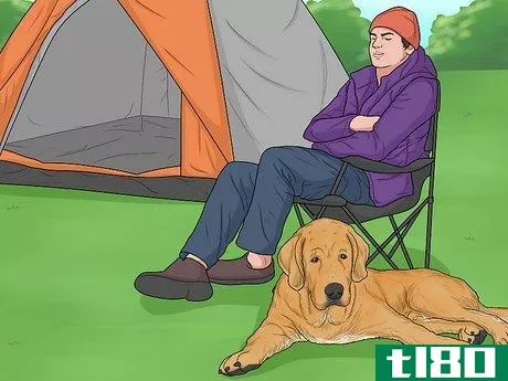 Image titled Hang Out with Your Dog Step 13