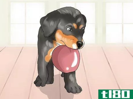 Image titled Handle Dog Begging for Food Step 6