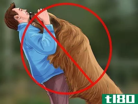 Image titled Give Your Dog Healthy Attention Step 15