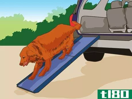 Image titled Handle Holiday Travel with Your Pet Step 4