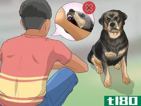 Image titled Know if a Pet Bite Is Serious Step 11
