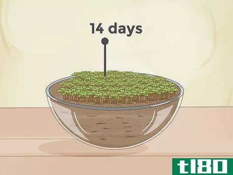 Image titled Grow Plants Faster Step 9