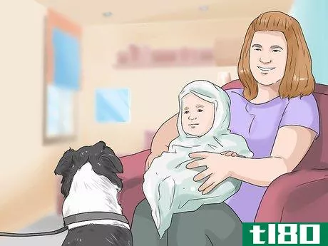 Image titled Get Your Dog to Welcome Your Baby Step 15