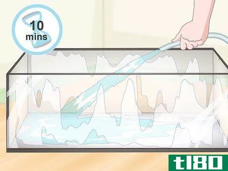 Image titled Get Rid of Mites on Snakes Step 12