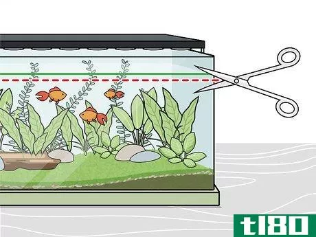 Image titled Grow Freshwater Aquarium Plants Step 12