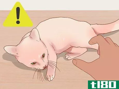 Image titled Know if Your Cat Is Afraid of Something Step 7