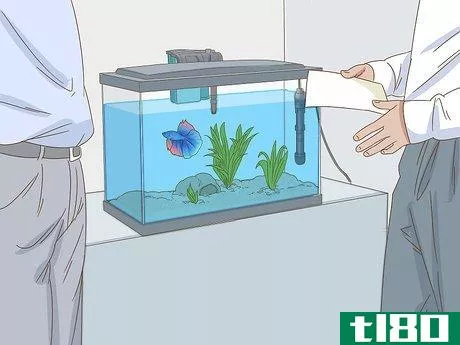 Image titled Grow a Bond With Your Betta Fish Step 6